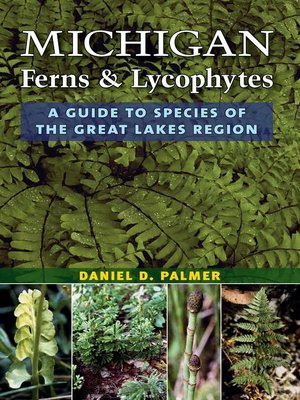 cover image of Michigan Ferns and Lycophytes